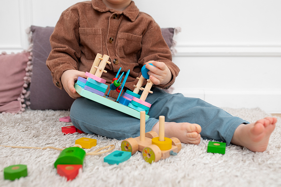 Toy Inspection