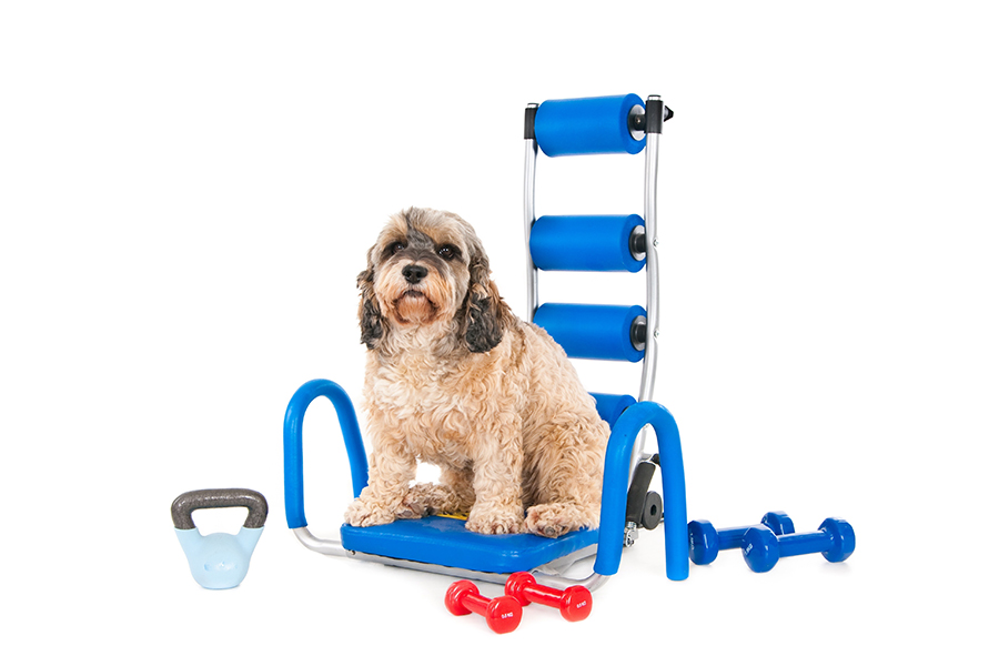 Pet Product Inspection